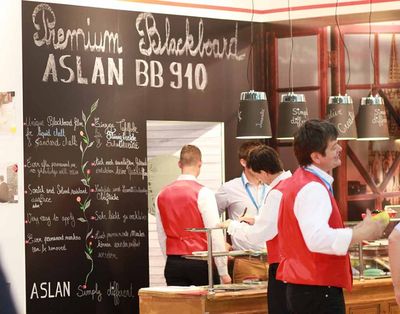 aslanBB910.jpg