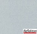 reflekton3101.jpg